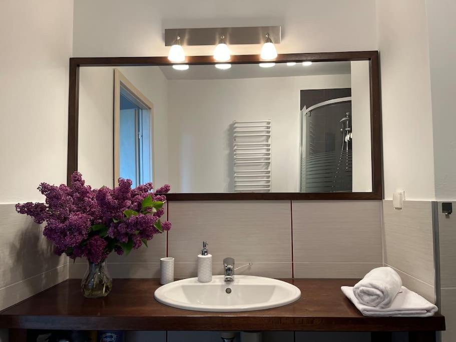 Apartament Hemingwaya Jelenia Gora Dış mekan fotoğraf