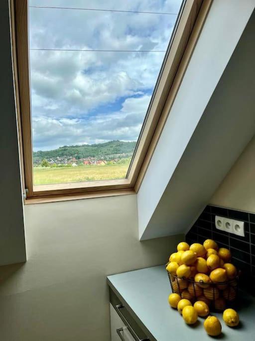 Apartament Hemingwaya Jelenia Gora Dış mekan fotoğraf