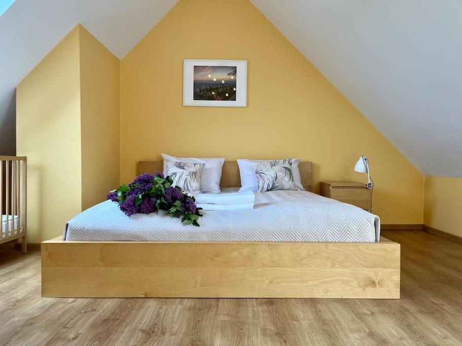 Apartament Hemingwaya Jelenia Gora Dış mekan fotoğraf