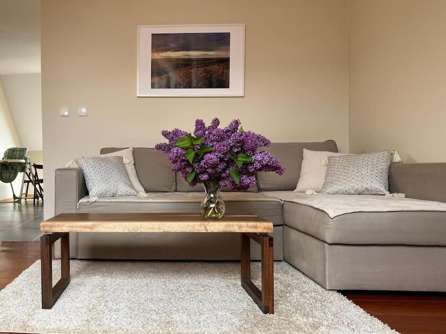 Apartament Hemingwaya Jelenia Gora Dış mekan fotoğraf